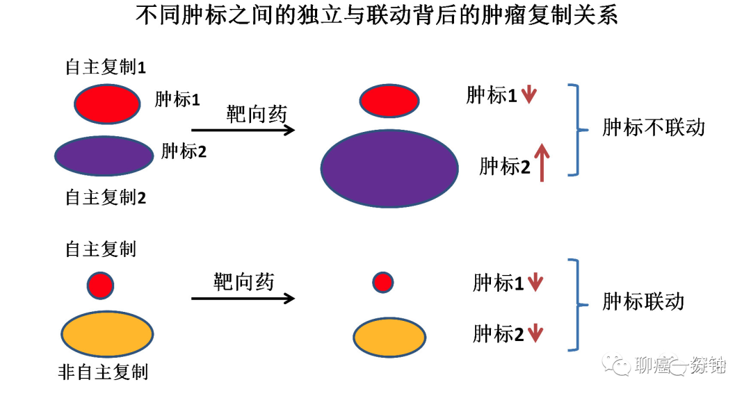 了解治疗中肿瘤标记物的变化趋势